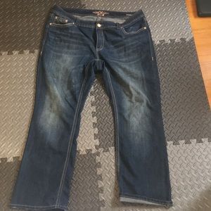 Melissa McCarthy for Seven Jeans